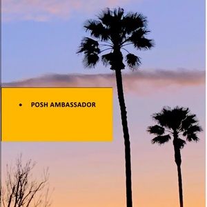 POSH AMBASSADOR